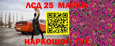 2c-b Шелехов
