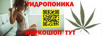 2c-b Шелехов