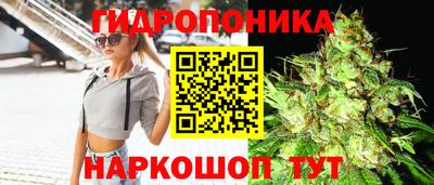 мдпв Ярославль