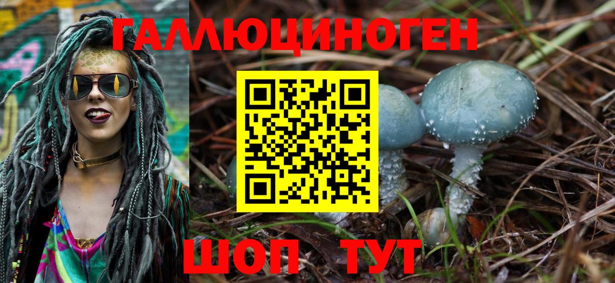 Псилоцибиновые грибы MAGIC MUSHROOMS Ртищево