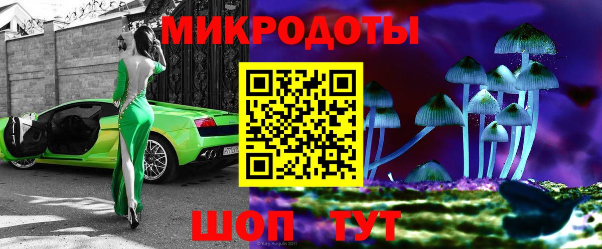 Псилоцибиновые грибы Psilocybe  Псилоцибиновые грибы мицелий  Ртищево  Вход с VPN 